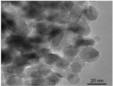 Figure 1 TeM image of TiO2 nanoparticles obtained by sol-gel process.Abbreviations: TeM, transmission electron microscopy; TiO2, titanium dioxide.