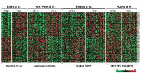 Figure 1Combining datasets. Combining data from multiple gene expression studies of human breast tumours reveals significant overlap, despite inherentdifferences in the technology used