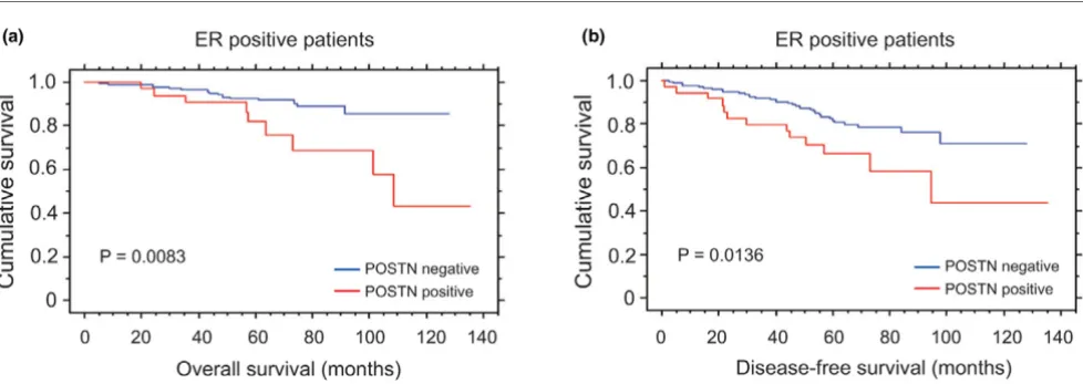 Figure 6Cumulative Kaplan-Meier curves for epithelial expression of periostin (POSTN)Cumulative Kaplan-Meier curves for epithelial expression of periostin (POSTN)