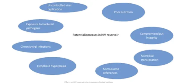 Figure 1. Effects on HIV Reservoir Size in Resource Limited Settings