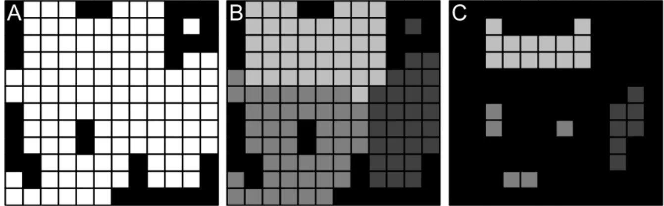 Figure 3.2: Illustration of the spatial filtering process necessary to account for spatial uncer- uncer-tainty due to image misregistration