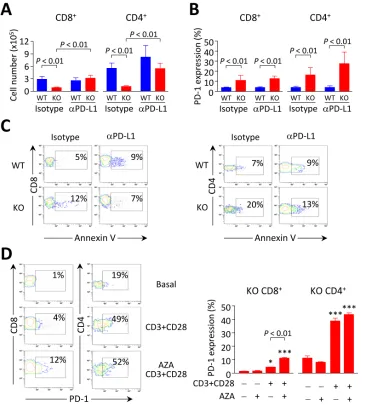 Figure 8: Breakdown of PD1/PD-L1 interaction contributes to accumulation of intrahepatic CD8+ T cells in Ae2a,b−/− mice