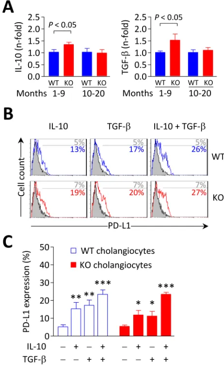 Figure 10: IL-10 and TGF-β induce PD-L1 expression on biliary epithelial cells. A. IL-10 (left) and TGF-β (right) mRNA levels measured by qPCR in liver samples from Ae2a,b−/− and WT mice