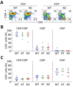 Figure 2: Flow cytometry analyses of thymocyte subsets in Ae2a,b−/− mice up to 10 months show no differences compared to littermate controls