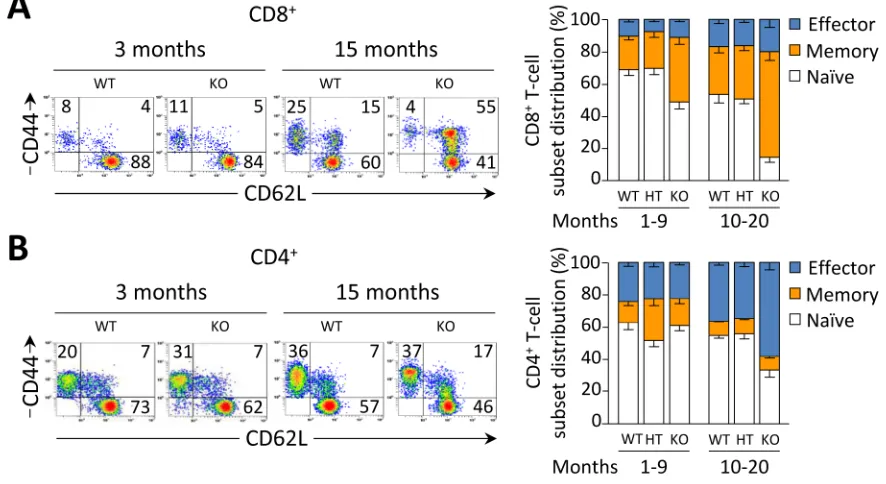 Figure 5: Activation status of T cells in the spleen of WT, HT, and Ae2a,b−/− mice analyzed by flow cytometry