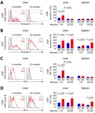 Figure 6: Increased apoptosis and PD-1 expression in liver-infiltrating CD8+ T cells from Ae2a,b−/− mice recede with aging