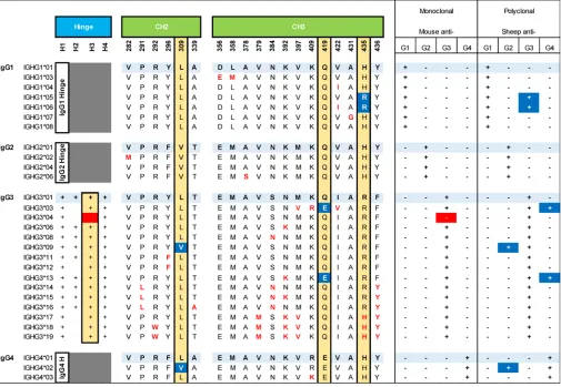 Figure 1. Human IgG isoallotype genetic variation and reactivities to anti-IgG subclass reagents