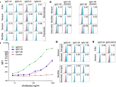 Figure 4. Reactivity of anti-IgG3 monoclonal and polyclonal reagents with the 29 IgG isoallotypes