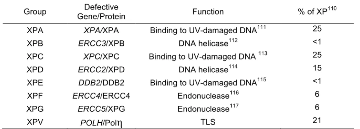 Table 1-4. Xerderma Pigmentosum complementation groups and  their defective gene products