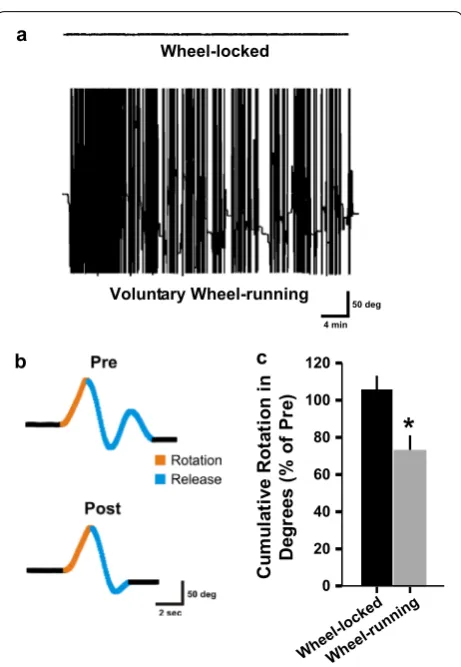 Fig. 2 Using the system for wheel-skill learning for evaluating proce-while a dural motor learning