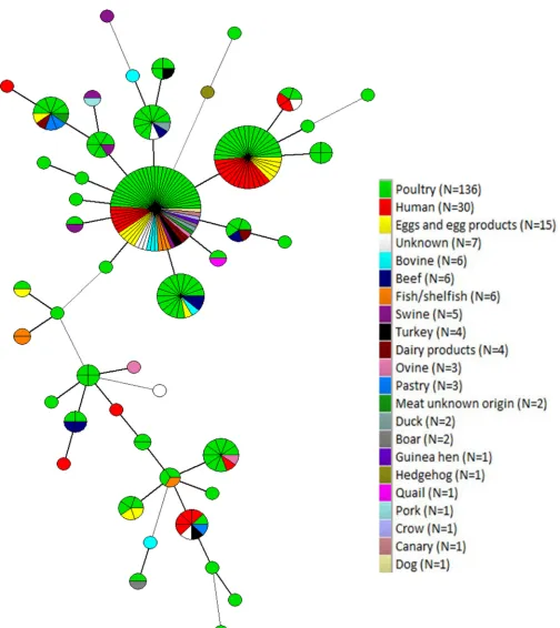 FIG 2 Minimum spanning tree calculated for MLVA proﬁles of 238 S. Enteritidis isolates collected from environmental (n � 33), animal (n � 112), food/feed(n � 63), and human (n � 30) sources.