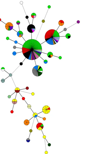 FIG 3 Phage type distribution among the minimum spanning tree calculated for MLVA proﬁles of S