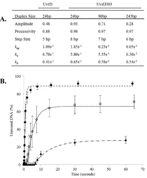 Figure  8.  Modeled  kinetics  of  UvrD303  helicase  activity.  Panel  A  –  Compiled  data  for  kinetic parameters of the n-step model for UvrD303 on the 24 bp partial duplex, 90 bp partial  duplex  or  243  bp  partial  duplex