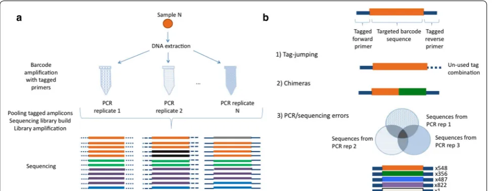 Fig. 1 Laboratory setup. In the scheme each unique sequence has a different colour, and the different tags are represented by the differences in the continuity of the blue lines at the ends of the sequence