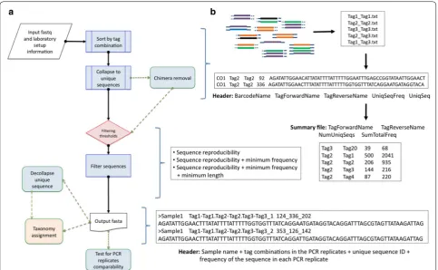 Fig. 2 DAMe workflow. a DAMe initially sorts sequences by tag combination and collapses the repetitive sequences into unique sequences