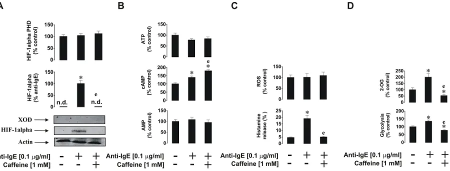 Figure 9: Effects of caffeine on the anti-IgE-induced biological responses of primary human basophils