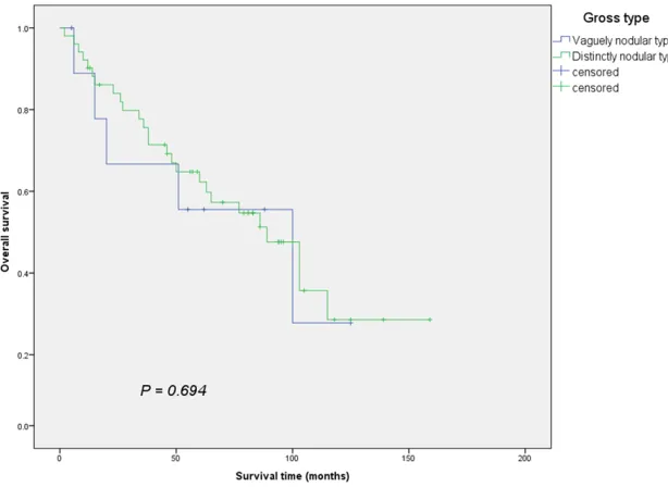Figure 4. Microscopic findings of distinctly nodular HCC. A. Moderately differentiated HCC