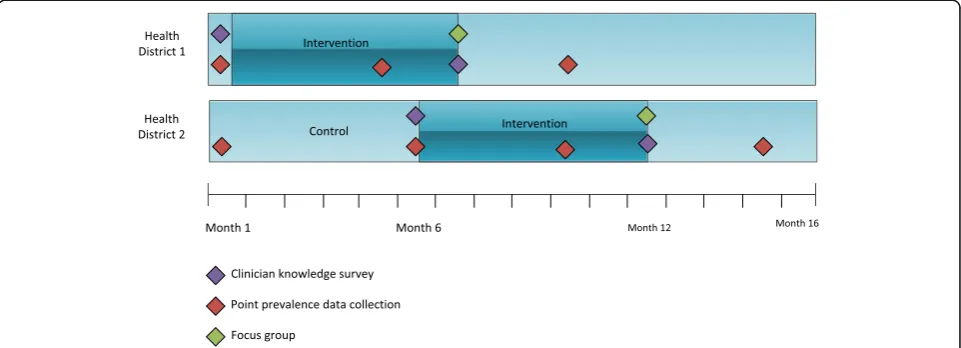 Fig. 1 Study Design. Data collection points are indicated with diamonds on timeline