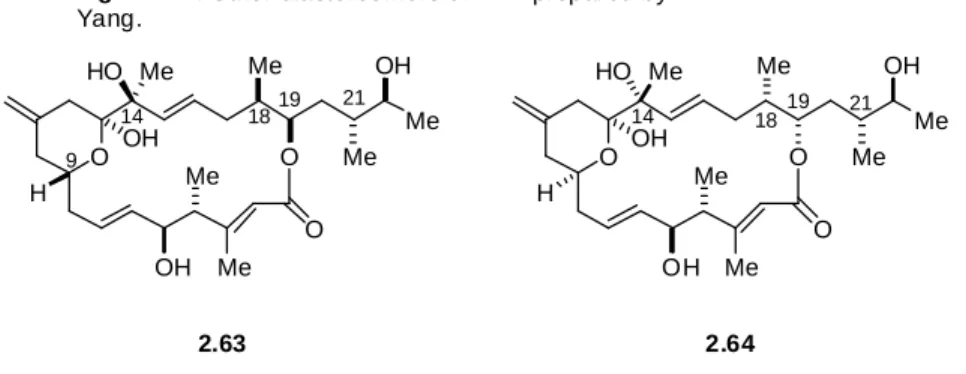 Figure 2.3: Other diastereomers of 2.43 prepared by Yang. 2.63 2.6421 211919181814149