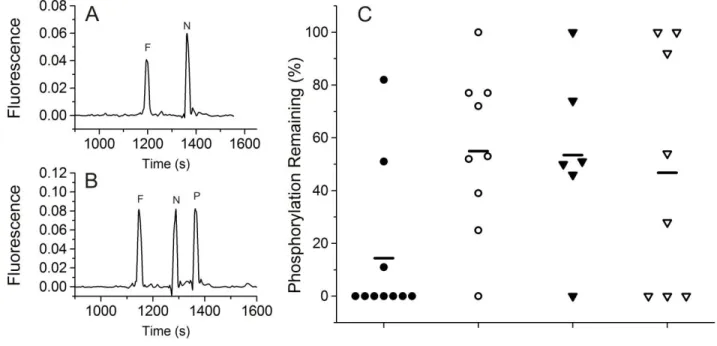Figure 2.4.  Single A431 cells were incubated in serum-free medium with and without  inhibitors for 10 min, microinjected with pTS13, and analyzed by CE after 60 s incubation
