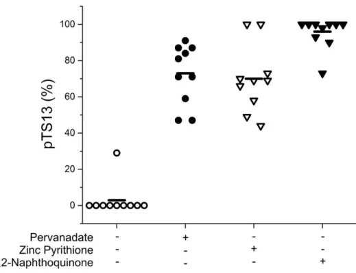 Figure 3.2.  PTP activity in single BEAS-2B cells.  PTP activity was assessed in single  BEAS-2B cells in the absence of toxins (◦) or after pretreatment with 1 mM pervanadate (•),  100 μM Zn 2+  (▽), or 150 μM 1,2-naphthoquinone (▼) for 10 min