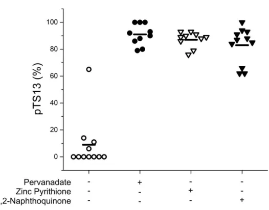 Figure 3.4. PTP activity in single hAECs.  PTP activity was assessed in single hAECs in  the absence of toxins (◦) or after pretreatment with 1 mM pervanadate (•), 100 μM Zn 2+  (▽),  or 150 μM 1,2-naphthoquinone (▼) for 10 min