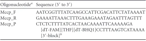TABLE 2 Oligonucleotide primers and probe used in this study