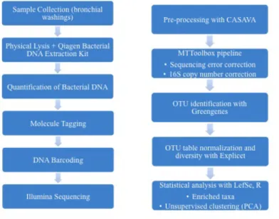 Figure 3.13: From Sample Collection to Data  Analysis. Methods used for sample collection, DNA  extraction, sequencing, and statistical analysis are  outlined
