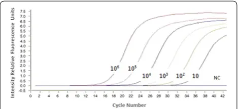 Fig. 1 Real-time reverse transcriptase polymerase chain reaction for μl and detected by real-time PCR