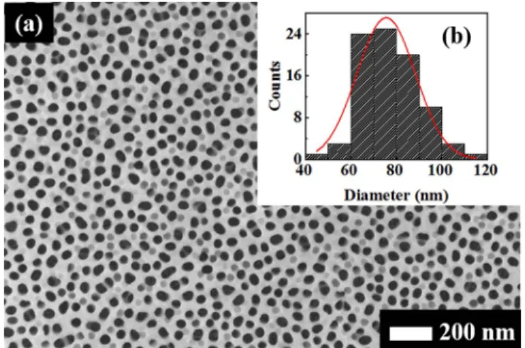 Figure 3. (a) SEM image of an AAO template on an ITO glass substrate (with 5 nm Ti and 2 nm Au layers) by anodization in oxalic acid (0.1 M) at 60 V and pore-widening in 5 wt% phosphoric acid for 80 min