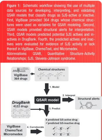 Figure 1 presents a general methodological workflow integrating the development, interpretation, and validation of QSAR model for SJS.