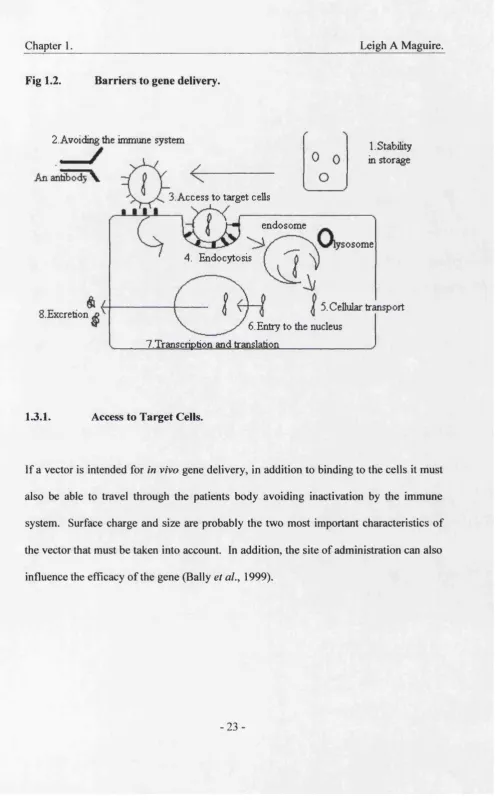 Fig 1.2. 