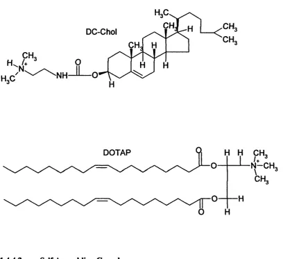 Fig 1.3. Cationic lipids.