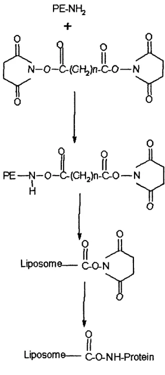 Fig 1.9. 