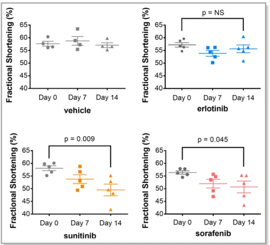 Figure 1. Contractile function is not affected by erlotinib, but is reduced by sunitinib and sorafenib