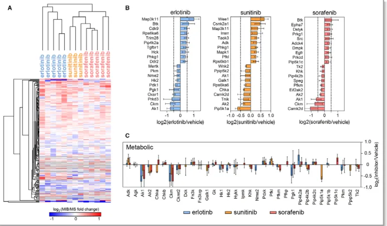 Table 3. Summary of KI Regulation of the Cardiac Kinome and Transcriptome