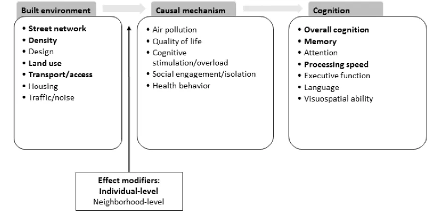 Figure 1.2. Conceptual model of the causal mechanisms linking the built environment and cognition  