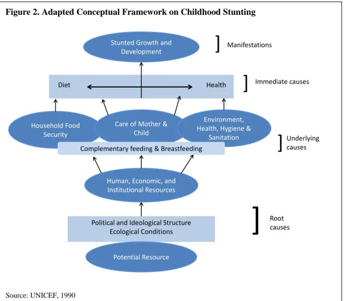 Figure 2. Adapted Conceptual Framework on Childhood Stunting 