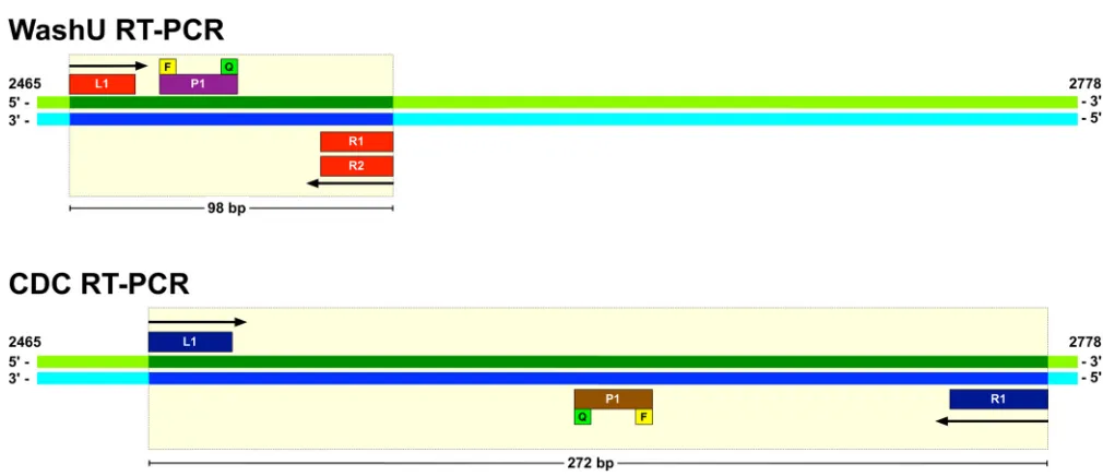 TABLE 1 WashU EV-D68-speciﬁc RT-PCR assay primers and probes