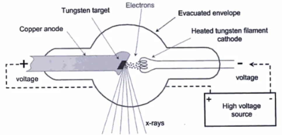Figure 2.7: Diagram of a Coolidge tube. The major component of the tube is the cathode, the anode, and the tube housing.