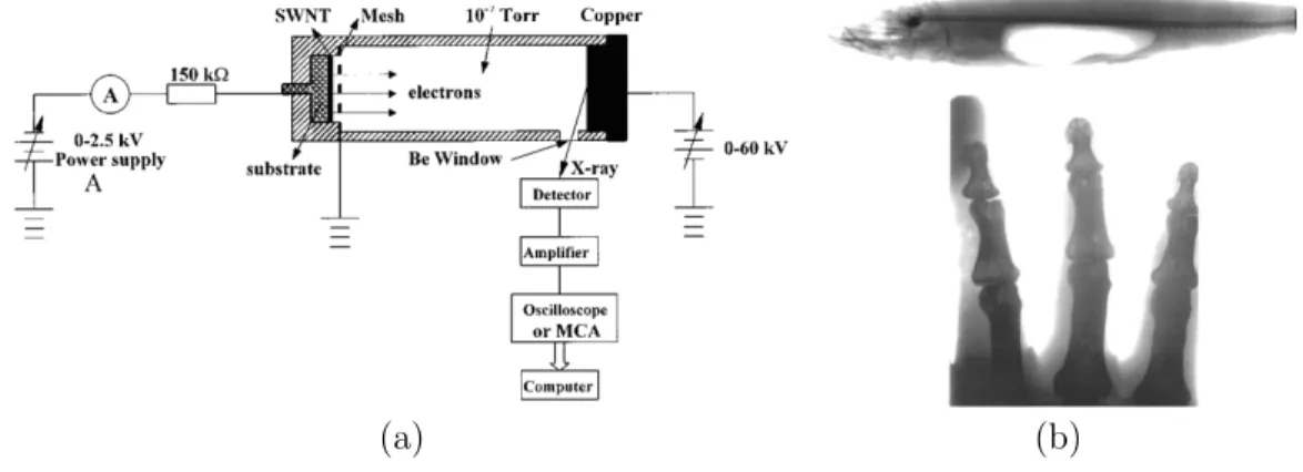 Figure 4.2: (a) Schematic of the triode-type field emission x-ray tube. (b) X-ray images of a fish and human hand phantom taken using the CNT x-ray source.