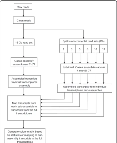 Figure 3 Methodology of the transcript mapping saturation test.