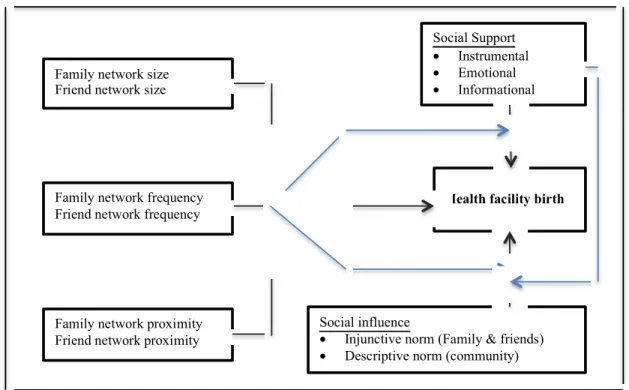 Figure 1: Conceptual model of the relationship between network characteristics and facility  birth