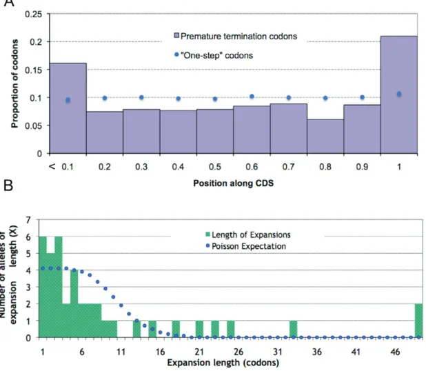 Figure  2.2:  The  allele  frequency  spectra  for  SCPs  are  skewed  towards  rare  alleles