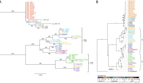 FIG 2 Comparison of phylogenetic trees obtained from 52 strains by maximum likelihood analysis after removal of recombination events