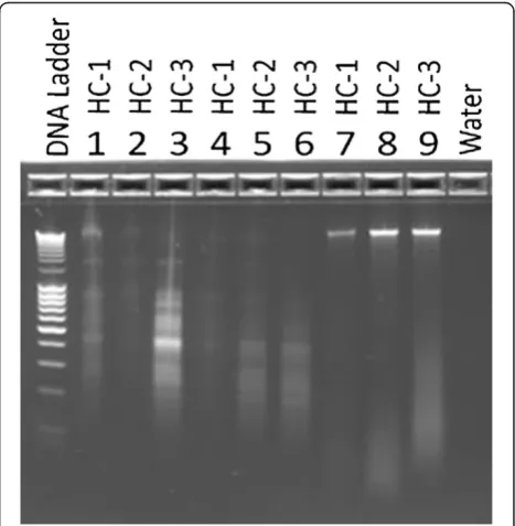Table 1 Quantification of extracted DNA from fecal samples
