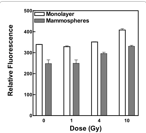 Figure 2 Relative content of reactive oxygen species in unirradi-Cells were incubated with aminophenyl fluorescein, exposed to 0, 1, 4 or 10 Gy ated and irradiated MCF-7 monolayer and mammosphere cells