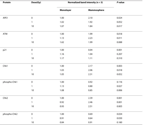 Table 1: Relative expression of DNA repair and cell cycle proteins in MCF-7 monolayer and mammosphere populations