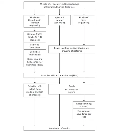 Figure 1 Data analysis pipelines of high-throughput sequencing.(Pipeline A), mapping independent isoform sequencing (Pipeline B) and seed analysis (Pipeline C)
