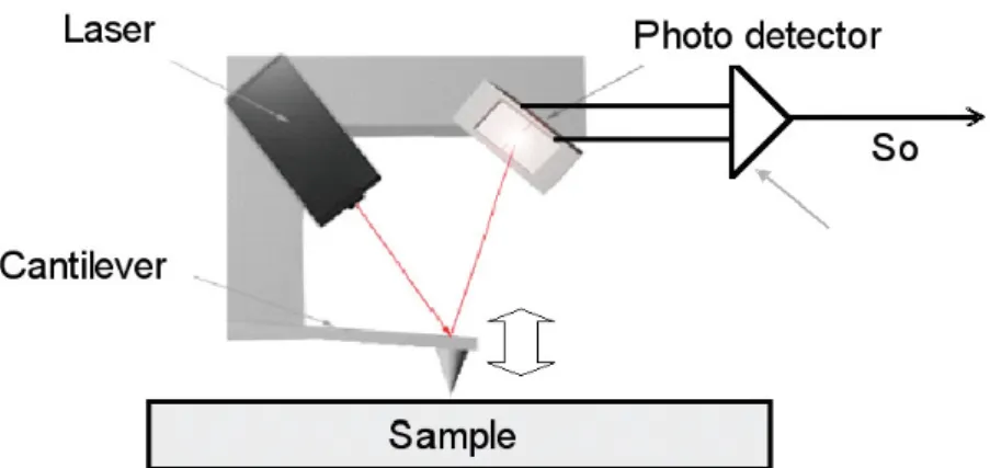 Figure 3.1: Working principle of an AFM. A cantilever with a sharp tip at the end is placed close to the sample